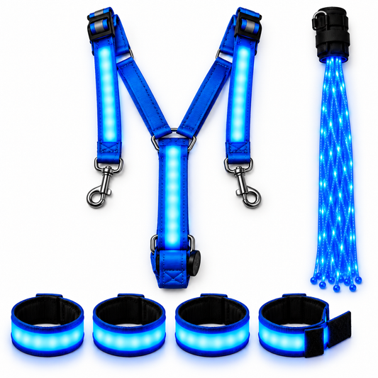 EquiGlow LED Horse Kit - Blue